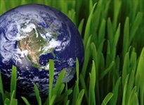 earth-grass earth-grass